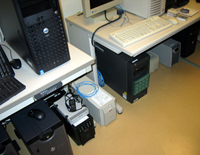 Server 